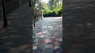 Zoo Lahore 2024 [upl. by Venola]