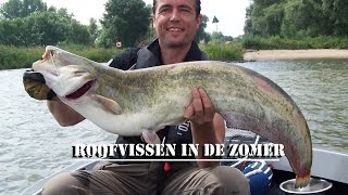 Roofvissen in de zomer 2016 🟠 Predator fishing in the summer English subtitles [upl. by Olzsal]