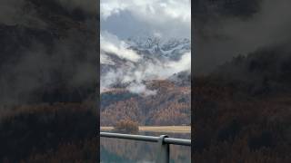 Golden larches and snowy mountains during Autumn in Switzerland 🇨🇭 [upl. by Inan]