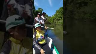 JATUARANA BRUTA NO RIO LAGE EM NOVA MAMORÉ RONDÔNIA 🎣🐟✅ fishing pescaria pesca peixe [upl. by Corell]