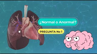 Sonidos Respiratorios Normales y Anormales  Guía Medica [upl. by Nalra]