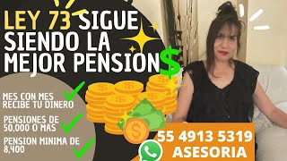 LEY 73 SIGUE SIENDO LA MEJOR PENSION [upl. by Tristam48]