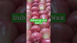 Unboxing Wax AppleMakopa from Taiwan [upl. by Adnarym]