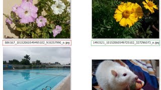 Find Facebook Account Using an Image URL OR from a Saved Image [upl. by Maryrose618]