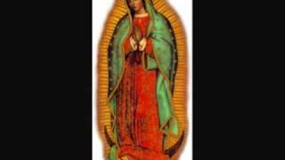 La Guadalupana NORTENOEl Grande del sur [upl. by Skolnik]