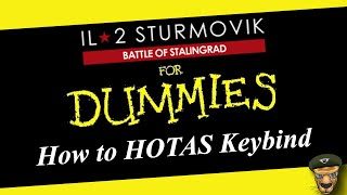 IL2 Sturmovik HOTAS Keybinds For Dummies [upl. by Murielle]