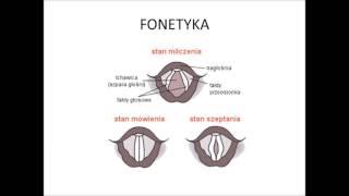 Fonetyka część 3  Ubezdźwięcznienie na końcu wyrazu [upl. by Bonni]