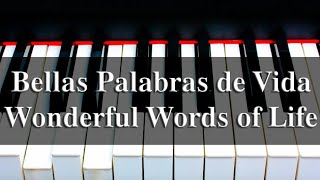 Bellas Palabras de Vida  Wonderful Words of Life  PIANO [upl. by Signe611]