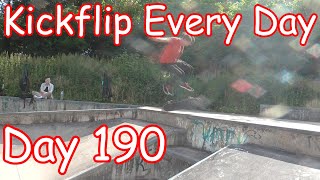 Kickflip Every Day  Day 190 [upl. by Athiste922]