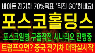 주식 포스코홀딩스  포스코일병 구출작전 시나리오 진행중 시간조정은 개미들을 말려죽인다 [upl. by Anaugal]