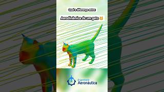 Qual a diferença entre a Aerodinâmica de um gato e de uma aeronave shorts aerodynamic plane cat [upl. by Marietta246]