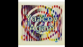 Yaacov Agam 1928 Op Art puntoalarte [upl. by Tanya872]