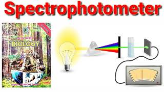 Spectrophotometer XI Biology [upl. by Nilesoj]