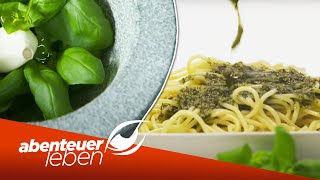 Das leckerste Pesto Original Pesto Genovese  Abenteuer Leben  Kabel Eins [upl. by Clary]