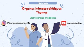 thymus histologie 2ème année medecine شرح بالدارجة و الرسم [upl. by Sheelagh784]