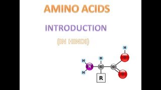 Amino Acid  Part1  INTRODUCTION  HINDI [upl. by Luthanen]