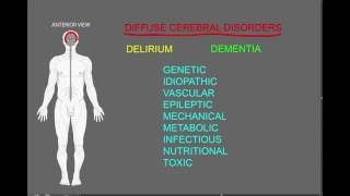 Diffuse cerebral disorders [upl. by Selby506]