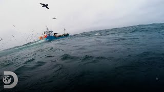 La baja producción en la pesca de cangrejos  Pesca Mortal  Discovery Latinoamérica [upl. by Dosh]