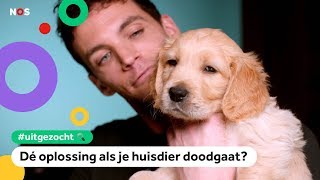 Kun je je huisdier klonen En is het een goed idee  UITGEZOCHT 8 [upl. by Nuawed]