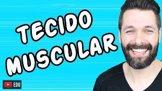 TECIDO MUSCULAR  HISTOLOGIA  Biologia com Samuel Cunha [upl. by Ynej435]