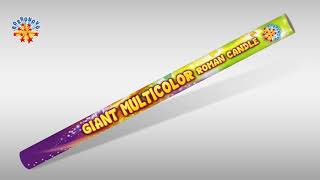 0313H Giant Multicolor Roman Candle [upl. by Pirozzo]