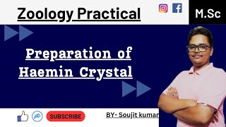 Haemin Crystal preparation of fish and human  Zoology practical  UG and PG [upl. by Eugen]