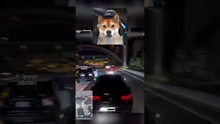 Sprenger ist Blind csyon gtarp roleplay rlo gta gaming gta5 funny fivem csyon [upl. by Hinze619]