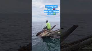 Mancing di Nipah Hanyut fishing angler adrenalin rumponalami tesnyali sarangikan spearfishing [upl. by Wendye]