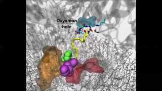 Structure and Dynamics of Lipid Processing Enzymes [upl. by Neitsirk677]