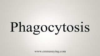 How To Say Phagocytosis [upl. by Eolanda]