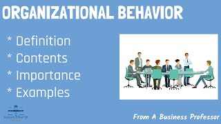 What is Organizational Behavior With Real World Examples  From A Business Professor [upl. by Anihtyc]