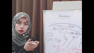 Hormone Biochemistry Session 4Hormones Acting via Ca as 2nd messenger [upl. by Abrams81]