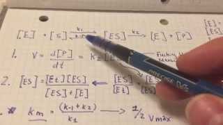 Deriving the michaelis menten equationsort of [upl. by Jew]