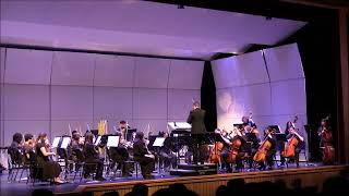 Peer Gynt Suite No 1  Grieg arr Various RHS Orchestra [upl. by Andriette]