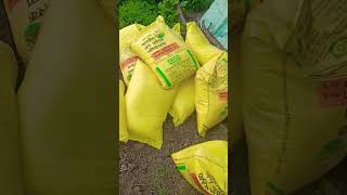 यूरिया खाद की प्राइस  price of urea fertilizer  urea fertilizer [upl. by Rasia]