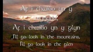 Mae Hiraeth yn Fy Nghalon  Dafydd Iwan geiriau  lyrics [upl. by Antons]