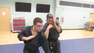 Circular defense in hapkido [upl. by Zoltai]