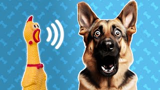 5 Squeaky Toy Sound For Dogs  Dog Sounds and Noises [upl. by Vitia643]