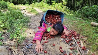 Harvest cardamom for sale life in the mountains [upl. by Senior634]