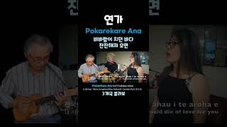 Pokarekare Ana  연가戀歌  Intl Collab Korea  New Zealand  USA Shorts [upl. by Einohpets]