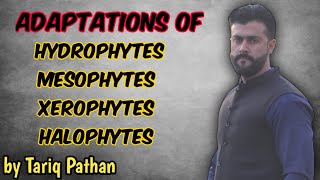 Chapter Homeostasis Hydrophytes  Mesophytes  Xerophytes  Halophytes Adaptations by Tariq Pathan [upl. by Isied]