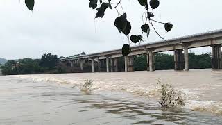 Narmada Maaiya ka Rudra Roop At Tilwara Old Bridge Narmada Nadi Tilwara Ghat Jabalpur MP [upl. by Garrett298]