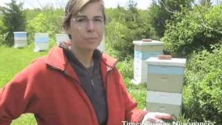 Beekeepers of the North Fork [upl. by Sally]