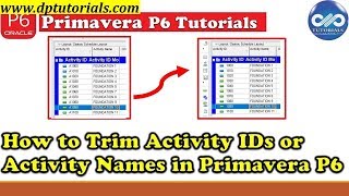 31 Assign Activity Codes in Primavera P6 [upl. by Lerim]