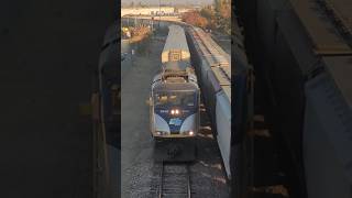 CDTX 2010 leads Amtrak San Joaquins 719 under the bridge after departing Bakersfield CA on 11924 [upl. by Alli934]