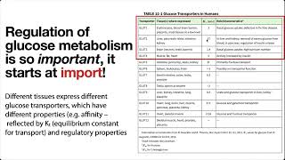 Regulation of glycolysis gluconeogenesis amp glucose transporters [upl. by Ahsinak]