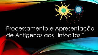 Processamento e Apresentação de Antígenos aos Linfócitos T  Ativação das células T  MHC [upl. by Callista147]