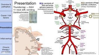 Stroke cerebrovascular accident CVA [upl. by Nilhtac]