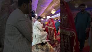 Best bridal entry barat entry wedding bride lehenga bridal lehanga shaadiseason receptionlook [upl. by Joh560]