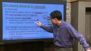 Animal Behavior  Lecture09 Habitat selection [upl. by Myers]